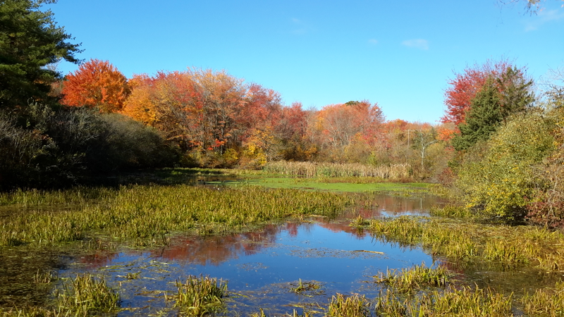 Illustration for article titled 48 Photos Of Autumn Around The World